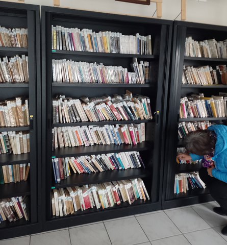 Rayonnages — bibliothèque (intérieur)